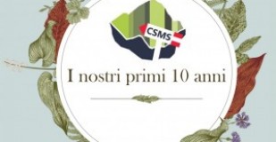 10 anni di CSMS